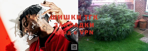 шишки Балабаново