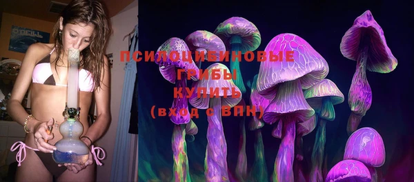 шишки Балабаново