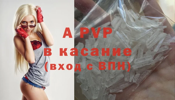 шишки Балабаново
