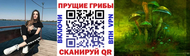 kraken сайт  Горячий Ключ  Псилоцибиновые грибы Cubensis 