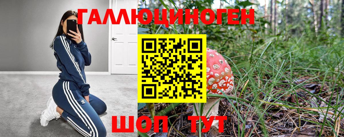 Галлюциногенные грибы прущие грибы  Галлюциногенные грибы Psilocybine cubensis  Горячий Ключ  Вход с VPN 
