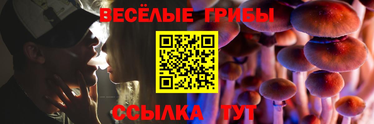 Галлюциногенные грибы MAGIC MUSHROOMS Горячий Ключ